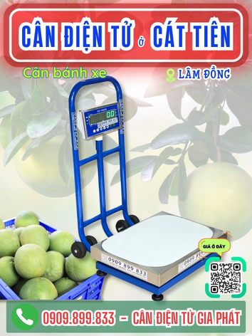 C&acirc;n điện tử ở C&aacute;t Ti&ecirc;n L&acirc;m Đồng - C&acirc;n Gia Ph&aacute;t