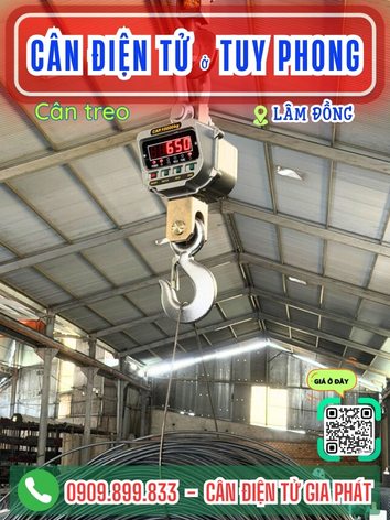 C&acirc;n điện tử ở Tuy Phong L&acirc;m Đồng - C&acirc;n Gia Ph&aacute;t