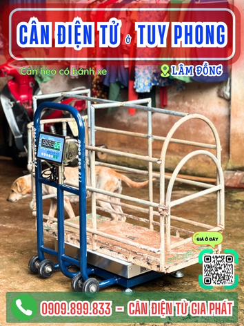 C&acirc;n điện tử ở Tuy Phong L&acirc;m Đồng - C&acirc;n Gia Ph&aacute;t