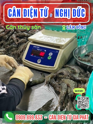 C&acirc;n điện tử ở Nghị Đức L&acirc;m Đồng - C&acirc;n Gia Ph&aacute;t