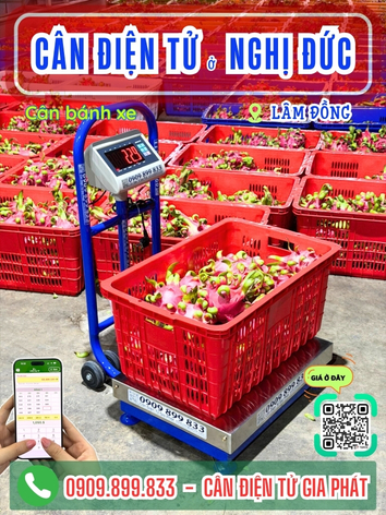 C&acirc;n điện tử ở Nghị Đức L&acirc;m Đồng - C&acirc;n Gia Ph&aacute;t