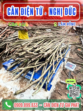 C&acirc;n điện tử ở Nghị Đức L&acirc;m Đồng - C&acirc;n Gia Ph&aacute;t