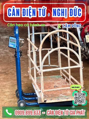 C&acirc;n điện tử ở Nghị Đức L&acirc;m Đồng - C&acirc;n Gia Ph&aacute;t