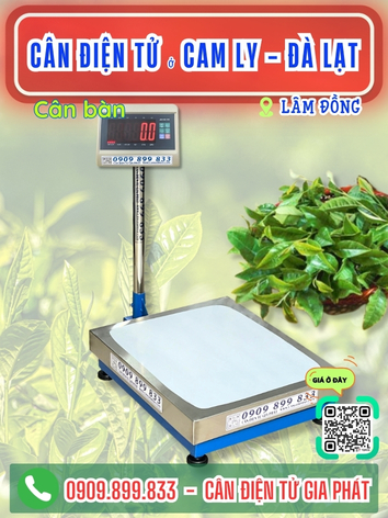 C&acirc;n điện tử ở Cam Ly - Đ&agrave; Lạt, L&acirc;m Đồng - C&acirc;n Gia Ph&aacute;t