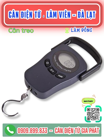 C&acirc;n điện tử ở phường L&acirc;m Vi&ecirc;n - Đ&agrave; Lạt, L&acirc;m Đồng - C&acirc;n Gia Ph&aacute;t