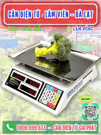 C&acirc;n điện tử ở phường L&acirc;m Vi&ecirc;n - Đ&agrave; Lạt, L&acirc;m Đồng - C&acirc;n Gia Ph&aacute;t
