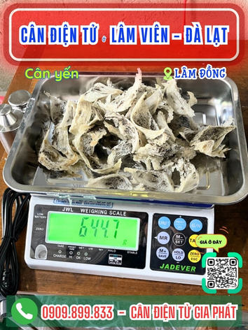 C&acirc;n điện tử ở phường L&acirc;m Vi&ecirc;n - Đ&agrave; Lạt, L&acirc;m Đồng - C&acirc;n Gia Ph&aacute;t