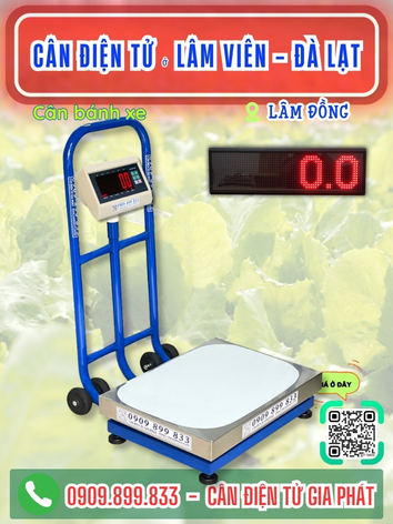 C&acirc;n điện tử ở phường L&acirc;m Vi&ecirc;n - Đ&agrave; Lạt, L&acirc;m Đồng - C&acirc;n Gia Ph&aacute;t