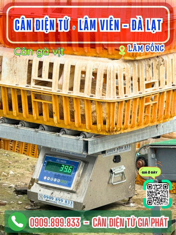 C&acirc;n điện tử ở phường L&acirc;m Vi&ecirc;n - Đ&agrave; Lạt, L&acirc;m Đồng - C&acirc;n Gia Ph&aacute;t