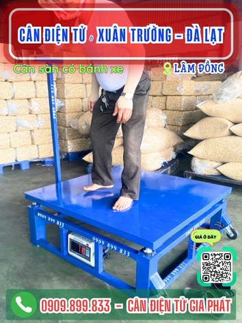 Cân điện tử ở phường Xuân Trường - Đà Lạt, Lâm Đồng