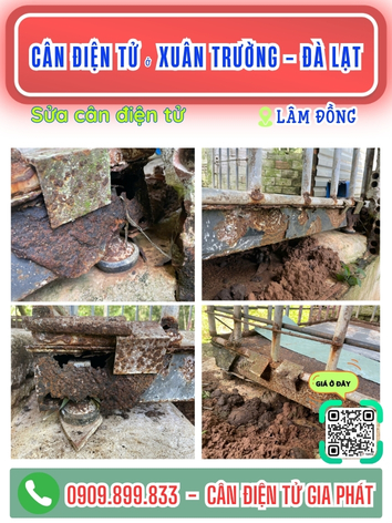 C&acirc;n điện tử ở Xu&acirc;n Trường - Đ&agrave; Lạt, L&acirc;m Đồng - C&acirc;n Gia Ph&aacute;t