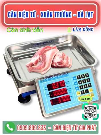 Cân điện tử ở Xuân Trường - Đà Lạt, Lâm Đồng - Cân Gia Phát
