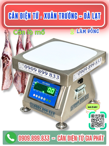 Cân điện tử ở Xuân Trường - Đà Lạt, Lâm Đồng - Cân Gia Phát