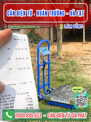Cân điện tử ở Xuân Trường - Đà Lạt, Lâm Đồng - Cân Gia Phát