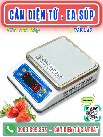 C&acirc;n điện tử ở Ea S&uacute;p Đắk Lắk - C&acirc;n Gia Ph&aacute;t