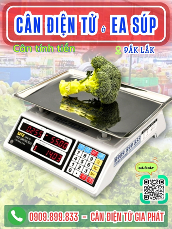 C&acirc;n điện tử ở Ea S&uacute;p Đắk Lắk - C&acirc;n Gia Ph&aacute;t