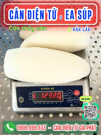 C&acirc;n điện tử ở Ea S&uacute;p Đắk Lắk - C&acirc;n Gia Ph&aacute;t