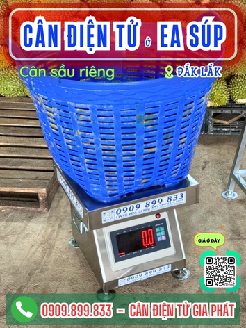 C&acirc;n điện tử ở Ea S&uacute;p Đắk Lắk - C&acirc;n Gia Ph&aacute;t