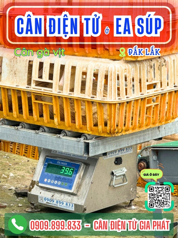 C&acirc;n điện tử ở Ea S&uacute;p Đắk Lắk - C&acirc;n Gia Ph&aacute;t