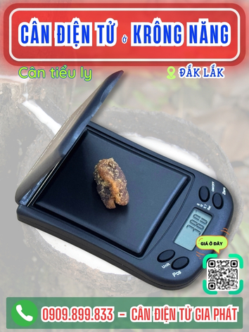 C&acirc;n điện tử ở Kr&ocirc;ng Năng Đắk Lắk - C&acirc;n Gia Ph&aacute;t