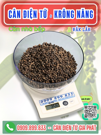 C&acirc;n điện tử ở Kr&ocirc;ng Năng Đắk Lắk - C&acirc;n Gia Ph&aacute;t