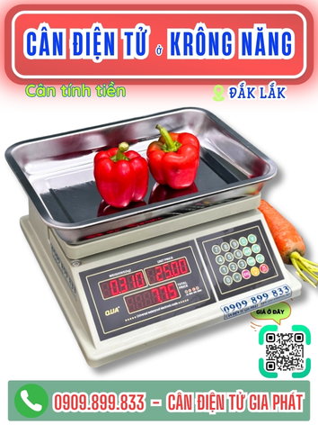 C&acirc;n điện tử ở Kr&ocirc;ng Năng Đắk Lắk - C&acirc;n Gia Ph&aacute;t