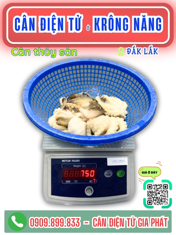 C&acirc;n điện tử ở Kr&ocirc;ng Năng Đắk Lắk - C&acirc;n Gia Ph&aacute;t