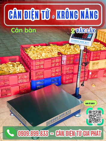 C&acirc;n điện tử ở Kr&ocirc;ng Năng Đắk Lắk - C&acirc;n Gia Ph&aacute;t