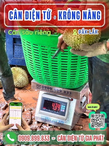 C&acirc;n điện tử ở Kr&ocirc;ng Năng Đắk Lắk - C&acirc;n Gia Ph&aacute;t