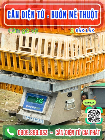 C&acirc;n điện tử ở Bu&ocirc;n M&ecirc; Thuột Đắk Lắk - C&acirc;n Gia Ph&aacute;t