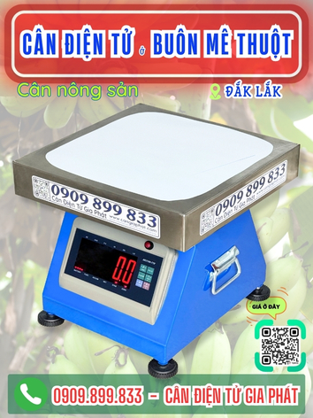 C&acirc;n điện tử ở Bu&ocirc;n M&ecirc; Thuột Đắk Lắk - C&acirc;n Gia Ph&aacute;t