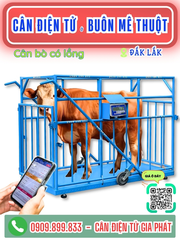 C&acirc;n điện tử ở Bu&ocirc;n M&ecirc; Thuột Đắk Lắk - C&acirc;n Gia Ph&aacute;t