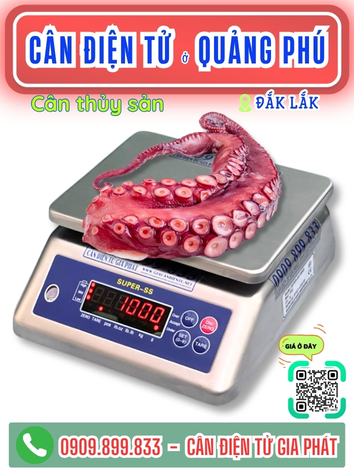 C&acirc;n điện tử ở Quảng Ph&uacute; Đắk Lắk - C&acirc;n Gia Ph&aacute;t