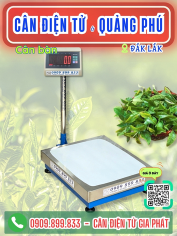 C&acirc;n điện tử ở Quảng Ph&uacute; Đắk Lắk - C&acirc;n Gia Ph&aacute;t