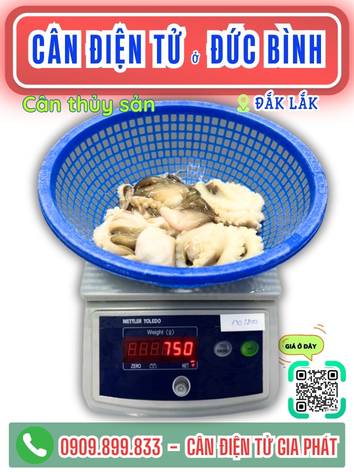 C&acirc;n điện tử ở Đức B&igrave;nh Đắk Lắk - C&acirc;n Gia Ph&aacute;t