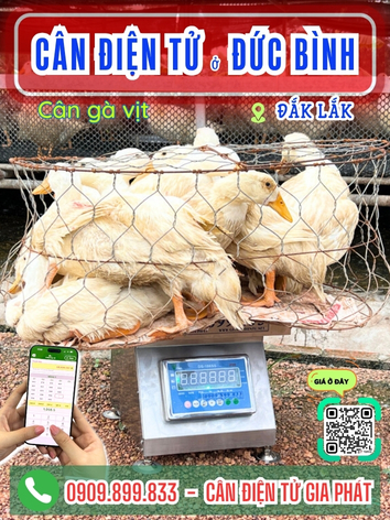 C&acirc;n điện tử ở Đức B&igrave;nh Đắk Lắk - C&acirc;n Gia Ph&aacute;t