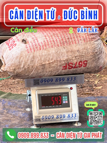 C&acirc;n điện tử ở Đức B&igrave;nh Đắk Lắk - C&acirc;n Gia Ph&aacute;t