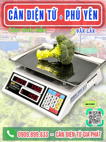 C&acirc;n điện tử ở Ph&uacute; Y&ecirc;n Đắk Lắk - C&acirc;n Gia Ph&aacute;t