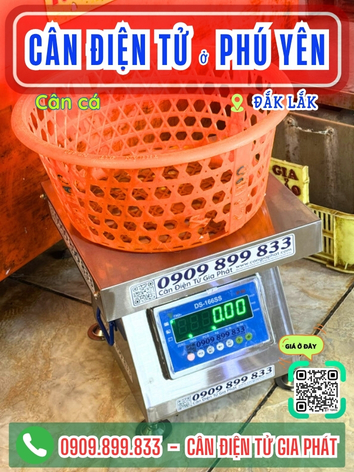 C&acirc;n điện tử ở Ph&uacute; Y&ecirc;n Đắk Lắk - C&acirc;n Gia Ph&aacute;t