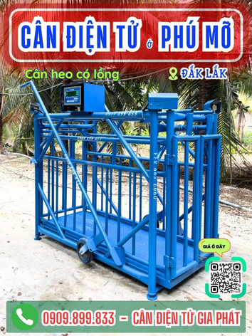 C&acirc;n điện tử ở Ph&uacute; Mỡ Đắk Lắk - C&acirc;n Gia Ph&aacute;t