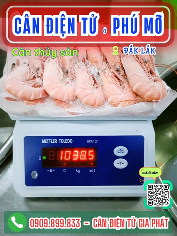 C&acirc;n điện tử ở Ph&uacute; Mỡ Đắk Lắk - C&acirc;n Gia Ph&aacute;t