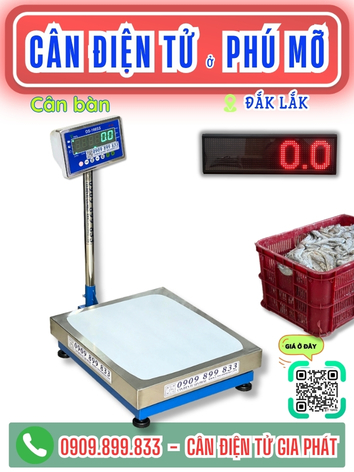 C&acirc;n điện tử ở Ph&uacute; Mỡ Đắk Lắk - C&acirc;n Gia Ph&aacute;t