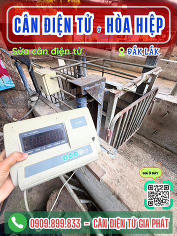 C&acirc;n điện tử ở H&ograve;a Hiệp Đắk Lắk - C&acirc;n Gia Ph&aacute;t