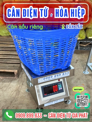 C&acirc;n điện tử ở H&ograve;a Hiệp Đắk Lắk - C&acirc;n Gia Ph&aacute;t