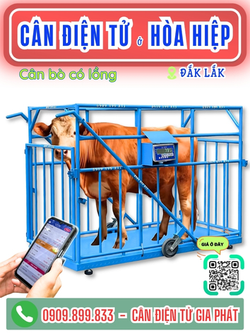 C&acirc;n điện tử ở H&ograve;a Hiệp Đắk Lắk - C&acirc;n Gia Ph&aacute;t