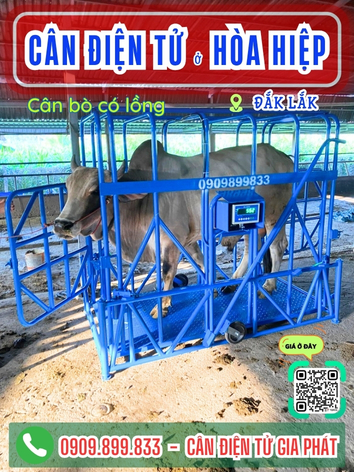 Cân điện tử ở phường Hòa Hiệp Đắk Lắk