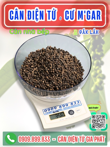 C&acirc;n điện tử ở Cư Mgar Đắk Lắk - C&acirc;n Gia Ph&aacute;t