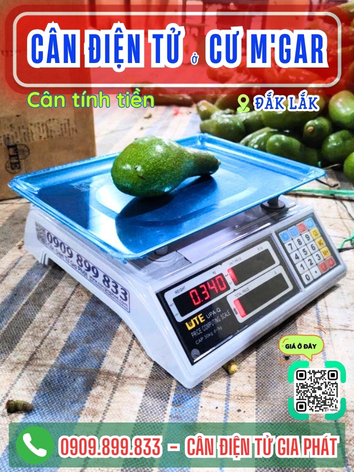 C&acirc;n điện tử ở Cư Mgar Đắk Lắk - C&acirc;n Gia Ph&aacute;t