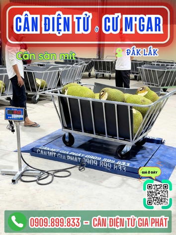 C&acirc;n điện tử ở Cư Mgar Đắk Lắk - C&acirc;n Gia Ph&aacute;t