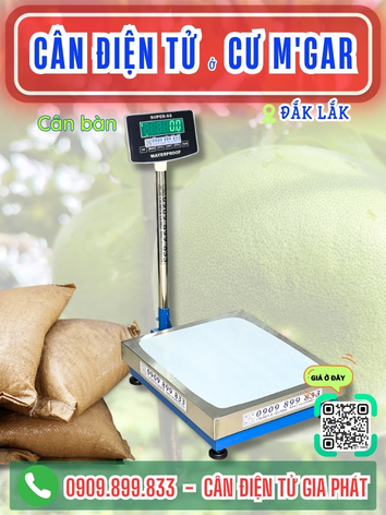 C&acirc;n điện tử ở Cư Mgar Đắk Lắk - C&acirc;n Gia Ph&aacute;t